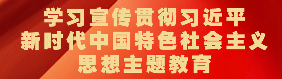 新時(shí)代中國特色社會(huì)主義思想主題教育